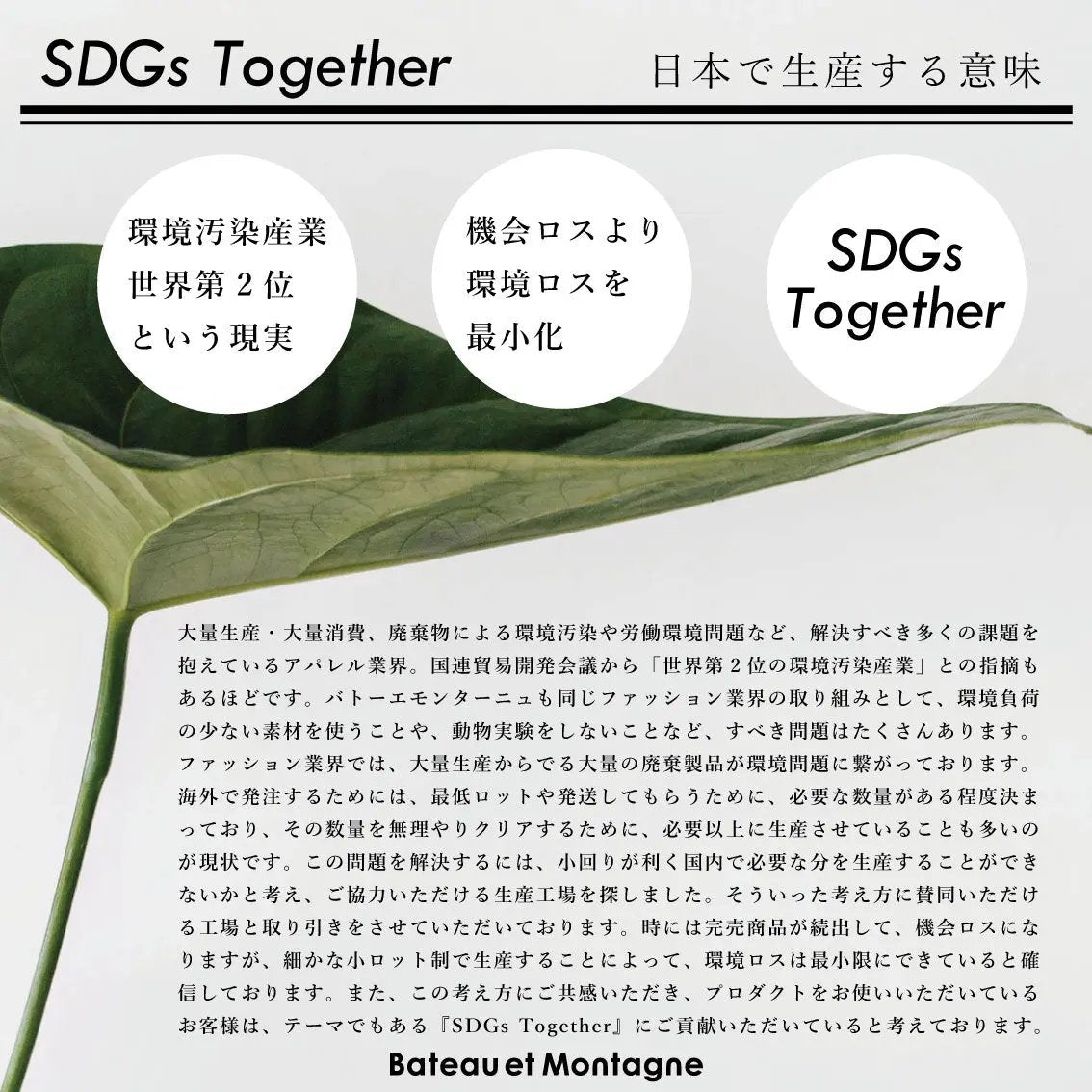 Maison Handle Cover メゾン ハンドルカバー